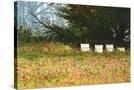 Stretched Canvas