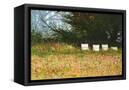 Canvas Black