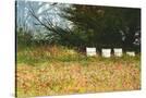Stretched Canvas