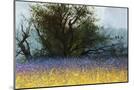 Wood Mount