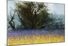 Wood Mount