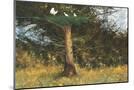 Wood Mount