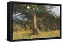 Canvas Black