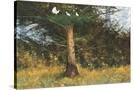 Stretched Canvas