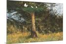Wood Mount