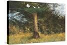 Stretched Canvas