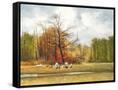 Canvas Black