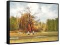Canvas Black