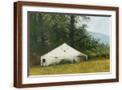 Brown Frame