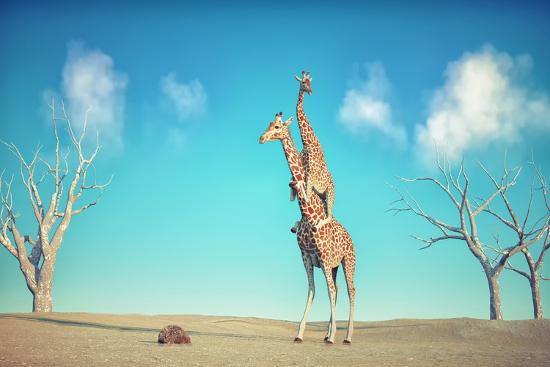 Premium Photographic Print, , large