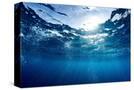 Stretched Canvas