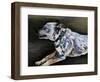 Mika-Key and Sea Creative-Framed Photographic Print