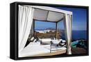 Framed Canvas