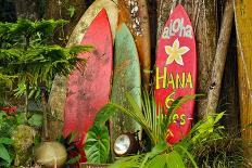 Welcome Display on the Road to Hana, Hawaii-Mike Brake-Mounted Photographic Print