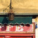 Pot Plants on Blue Painted Venice Building Exterior-Mike Burton-Photographic Print