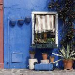 Pot Plants on Blue Painted Venice Building Exterior-Mike Burton-Photographic Print