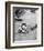 Mike Connors - Mannix-null-Framed Photo