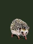 Kimchi the Hedgehog on Forest Green, 2020, (Pen and Ink)-Mike Davis-Giclee Print