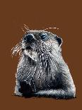 The Otter on White, 2020, (Pen and Ink)-Mike Davis-Giclee Print