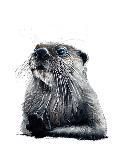 The Otter on Burnt Orange, 2020, (Pen and Ink)-Mike Davis-Giclee Print