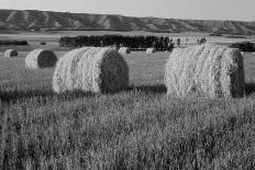 Canada, Alberta, Red Barn-Mike Grandmaison-Photographic Print