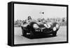 Mike Hawthorn Driving a D Type Jaguar, C1955-C1956-null-Framed Stretched Canvas