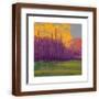 Brown Frame