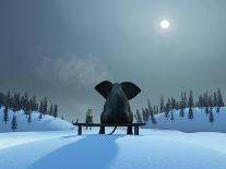 Elephant and Dog at Christmas Night-Mike_Kiev-Photographic Print