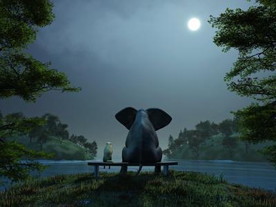 Elephant and Dog Meditate at Summer Night