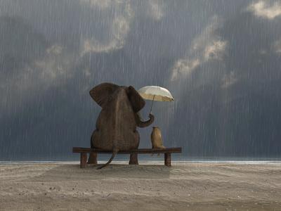 Elephant And Dog Sit Under The Rain