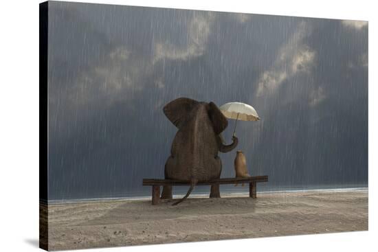 Stretched Canvas Print, , large