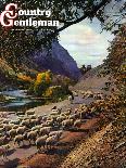 "Herding Sheep,"September 1, 1943-Mike Roberts-Framed Stretched Canvas
