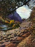 "Herding Sheep,"September 1, 1943-Mike Roberts-Giclee Print