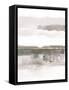 Framed Canvas