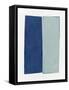 Framed Canvas