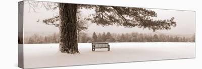 First Snow II-Mike Sleeper-Stretched Canvas