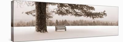 First Snow I-Mike Sleeper-Framed Giclee Print