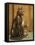 Mike the British Museum Kitten, 1995-Frances Broomfield-Framed Stretched Canvas