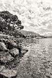 Flowers and Trees near Lake, Montreux. Switzerland-MikeNG-Photographic Print