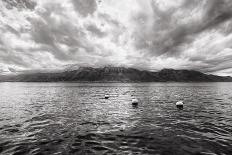 Flowers and Trees near Lake, Montreux. Switzerland-MikeNG-Photographic Print