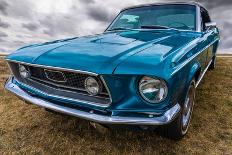 Side View of a Classic American Car from the Fifties.-MikeVanSchoonderwalt-Mounted Photographic Print