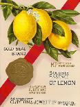 Clayton & Jowett, Liverpool, "Essence Of Lemon" Advert, 1948-Mikeyashworth-Framed Art Print