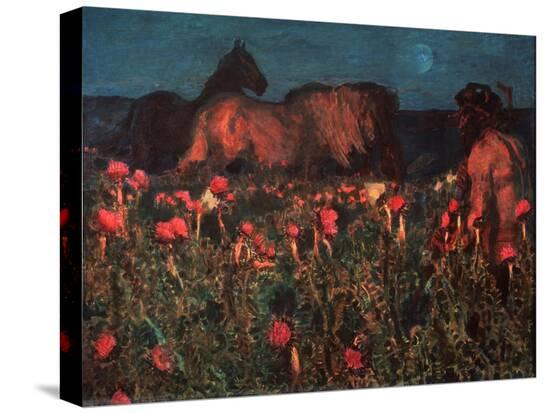 Stretched Canvas Print, , large