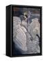 Canvas Black