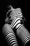 Zebra Shadow-Mikhail Faletkin-Laminated Photographic Print
