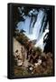 Essential Black