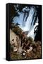 Canvas Black