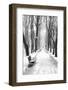 Mikhailovsky Gardens in winter, Saint Petersburg, Russia-Nadia Isakova-Framed Photographic Print