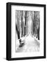 Mikhailovsky Gardens in winter, Saint Petersburg, Russia-Nadia Isakova-Framed Photographic Print