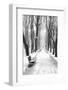 Mikhailovsky Gardens in winter, Saint Petersburg, Russia-Nadia Isakova-Framed Photographic Print